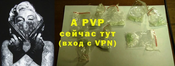 молекула духа Заволжье