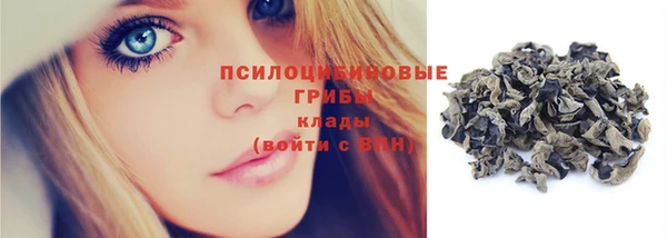 гашик Фурманов