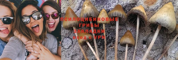молекула духа Заволжье