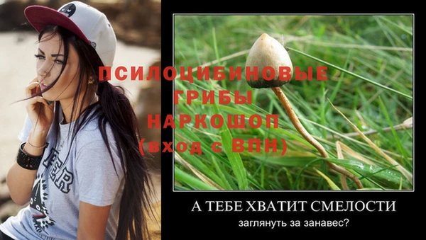 мяу мяу кристалл Заводоуковск
