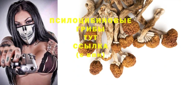 молекула духа Заволжье