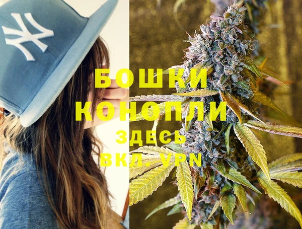 молекула духа Заволжье