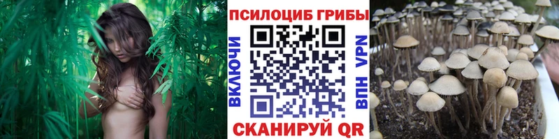 магазин  наркотиков  Южноуральск  Псилоцибиновые грибы мухоморы 