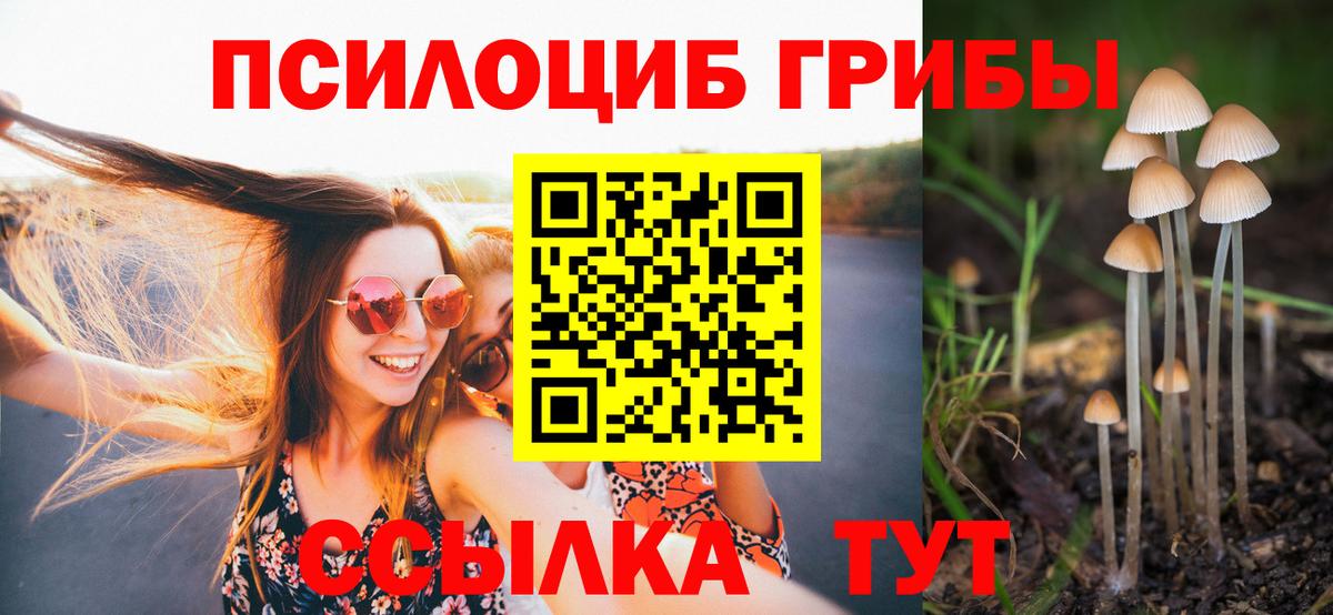 Галлюциногенные грибы MAGIC MUSHROOMS  Вход с VPN  Южноуральск  Псилоцибиновые грибы мицелий 